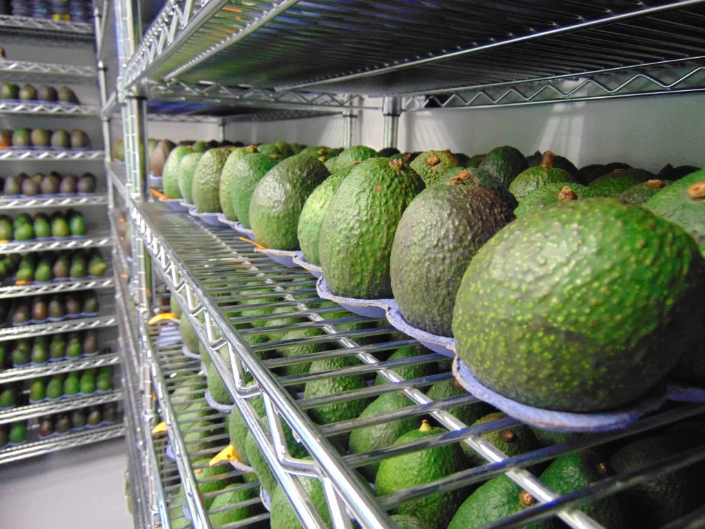 Startup cria fórmula para frutas sem agrotóxicos durarem 5x mais tempo