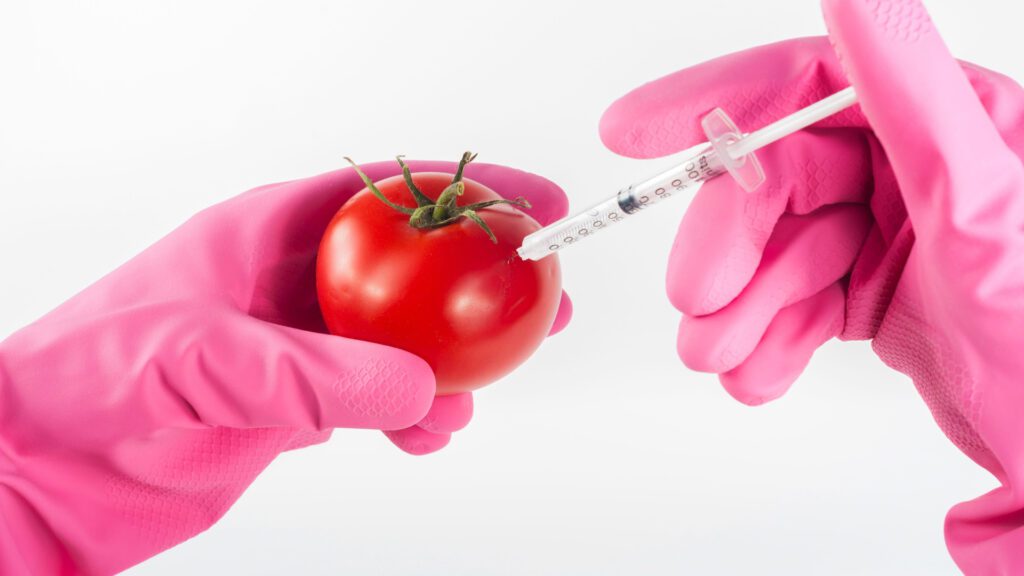 GMO: em que ponto estamos com os alimentos transgênicos?