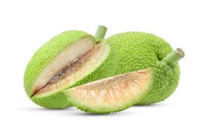 Matérias primas vegetais