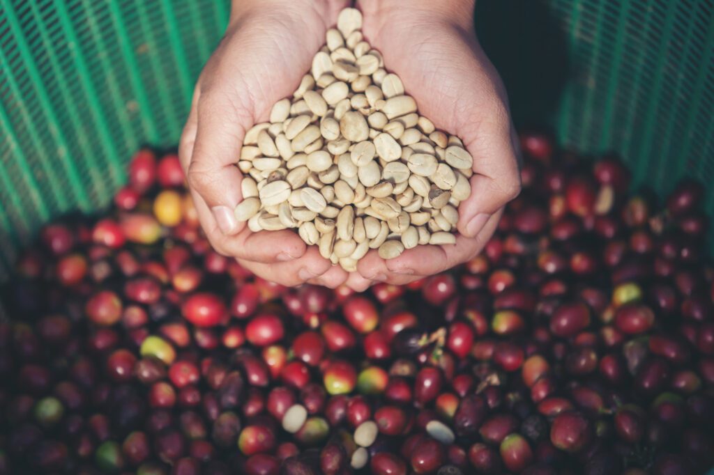 8 infusões de café que vão mexer com a sua cabeça