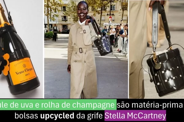 Resíduos da produção de champagne Veuve Clicquot são a matéria-prima da nova coleção de bolsas e sapatos upcycled da grife Stella McCartney. - Artigos de opinião