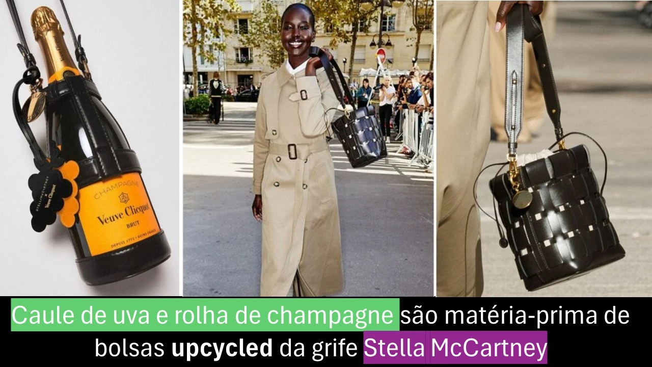 Resíduos da produção de champagne Veuve Clicquot são a matéria-prima da nova coleção de bolsas e sapatos upcycled da grife Stella McCartney. - Artigos de opinião