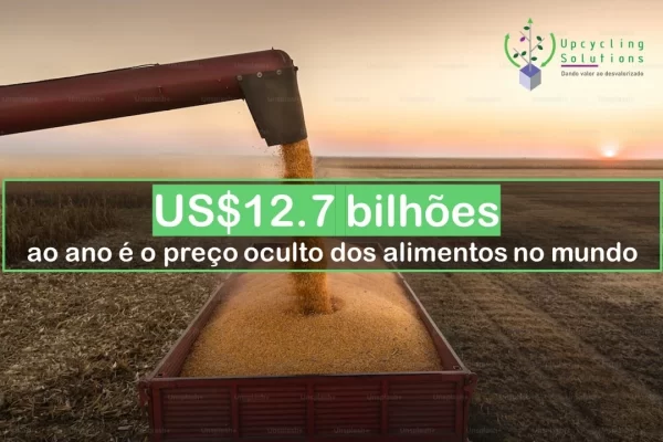 O preço oculto dos alimentos no mundo vale US$12.7 bilhões ano -Artigos de opinião