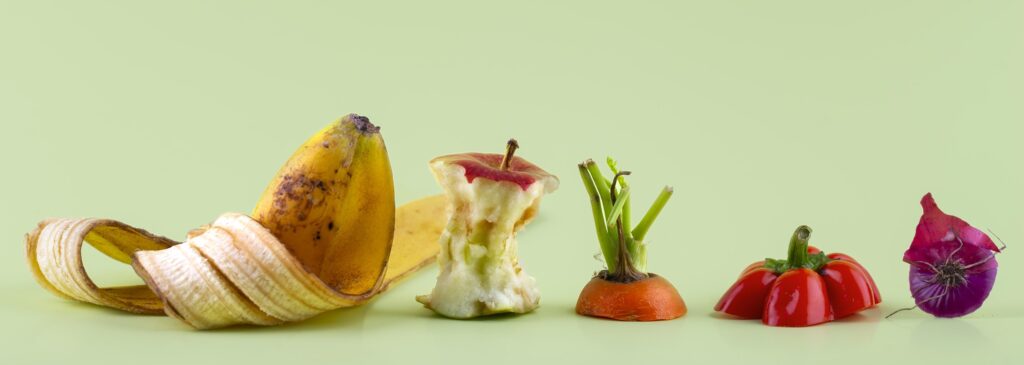 a primeira empresa brasileira especializada em upcycling de alimentos