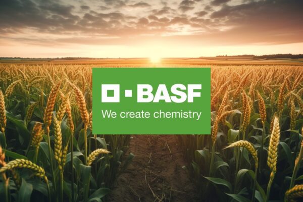 BASF pegada de carbono