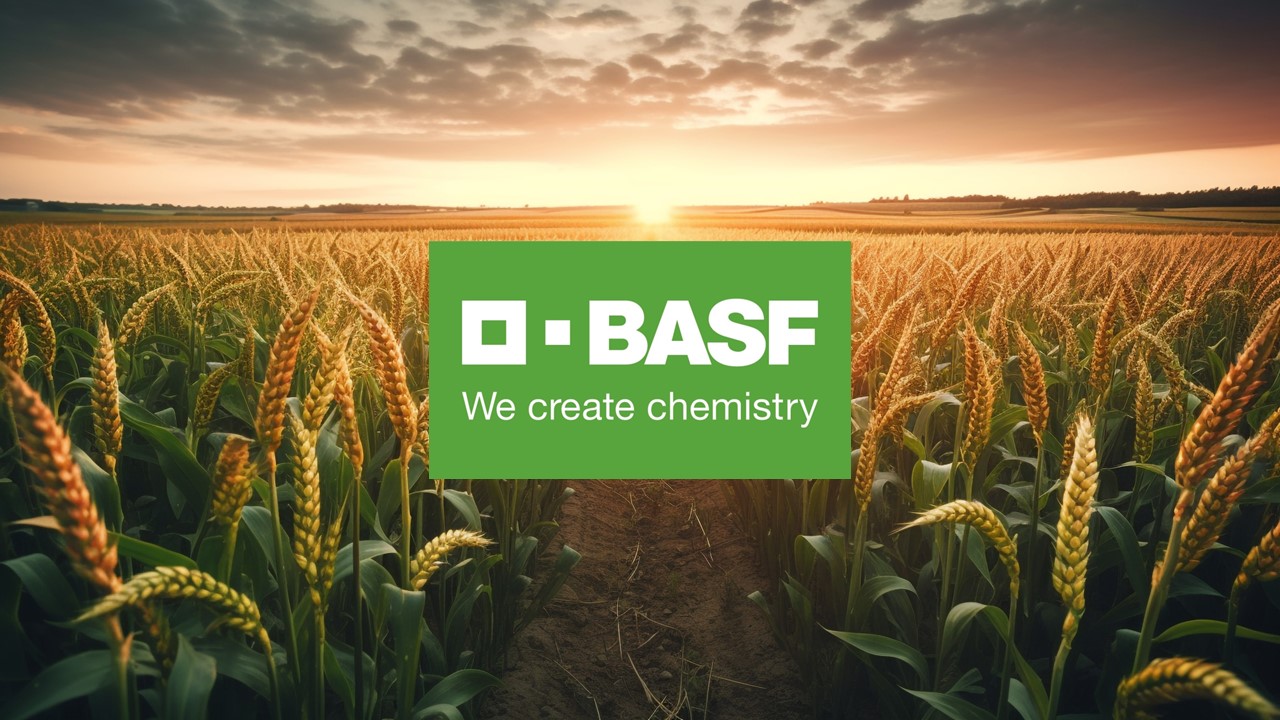 BASF pegada de carbono