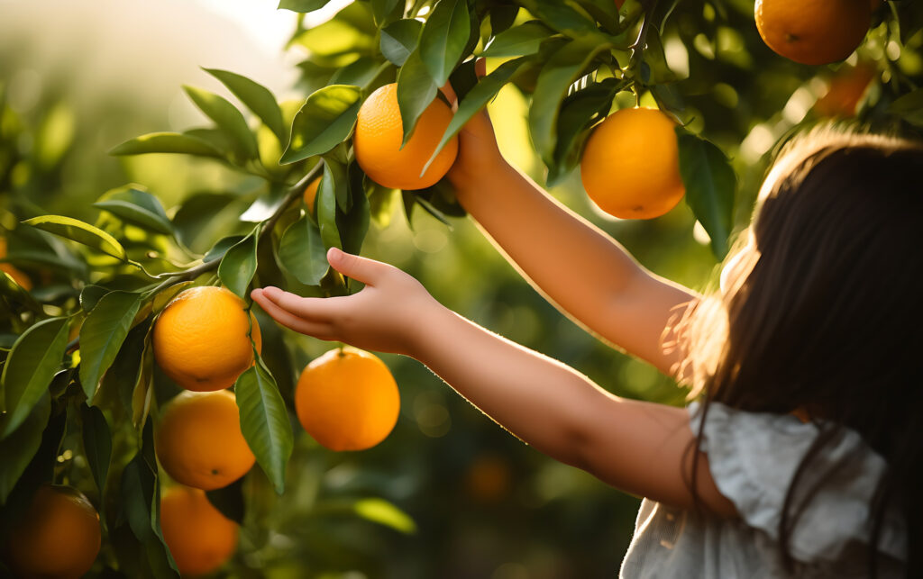 Upcycling de laranja: gigante do cítrico cria opções para aproveitar 100% da fruta