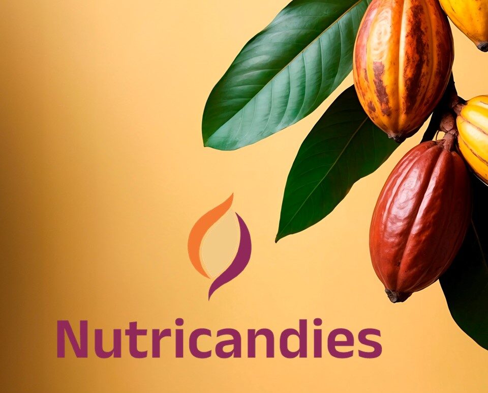 Nutricandies usa mel de cacau para substituir açúcar é única brasileira em premiação da ONU