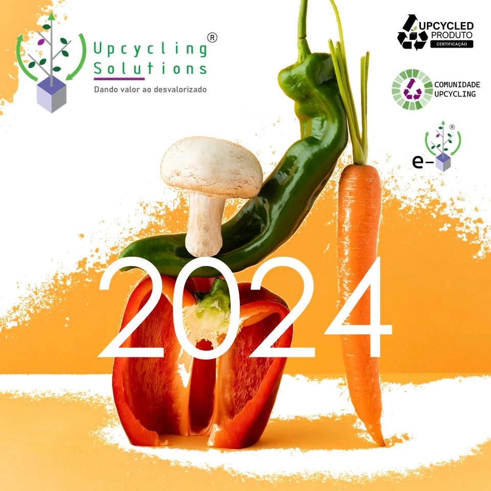 2024 em retrospectiva: a jornada da Upcycling Solutions