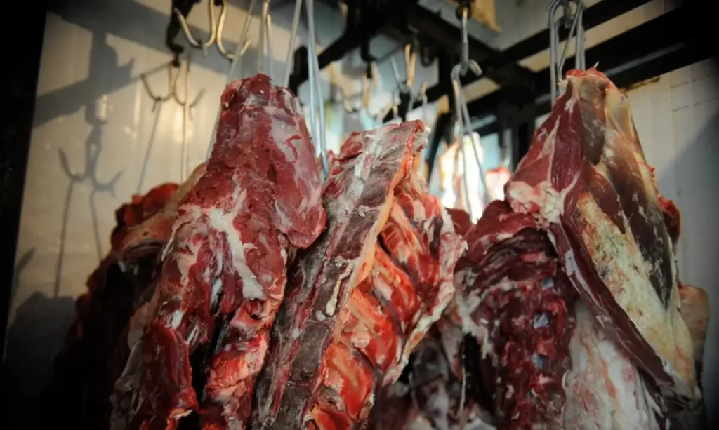Carne com papelão? Teste rápido de DNA é nova arma em segurança alimentar