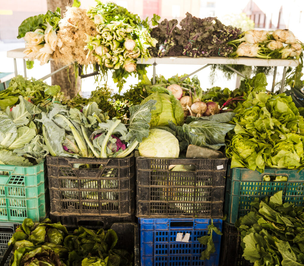 O mercado bilionário que está redefinindo a economia circular até 2036